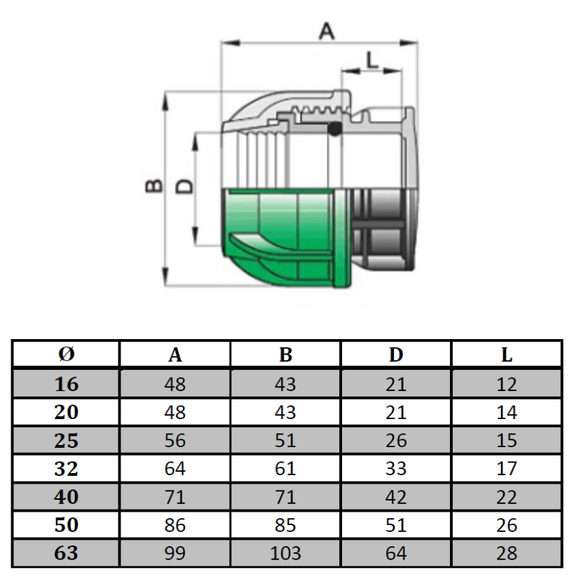 4206