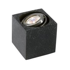 66196