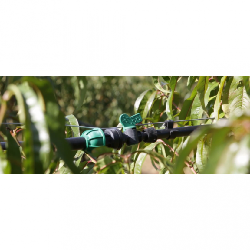 4003