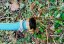 10427